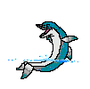 animated dolphin