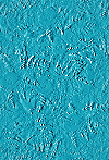 Cyan embossed roses
