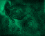 smudged green roses
