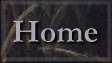 Ophelia B Button - Home