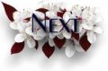 Next