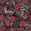 Bright Red Roses