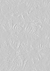 White embossed roses